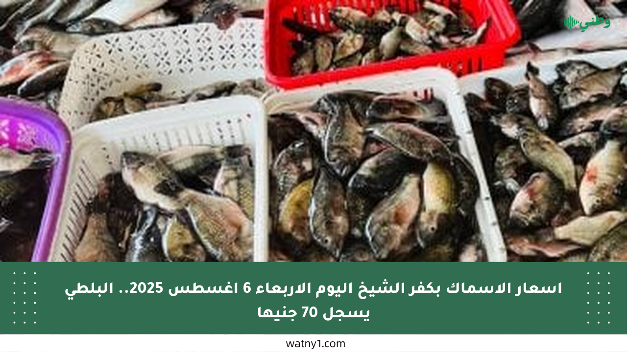 أسعار الأسماك بكفر الشيخ اليوم الأربعاء 6 أغسطس 2025.. البلطى يسجل 70 جنيها